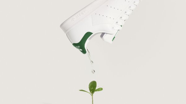 Wasser aus einem Schuh wird auf eine Pflanze gegossen