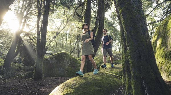 Ein Pärchen wandert durch einen moosbewachsenen Wald.