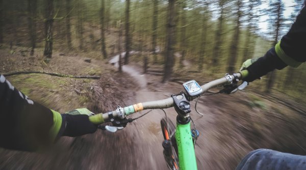 POV: Cyclist in the forest
