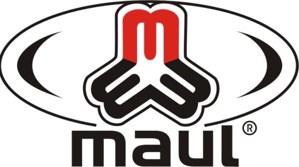 Logo von Ludwig Maul