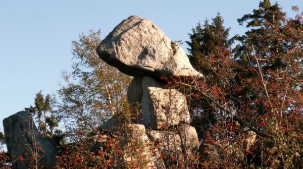 Kletterparadies Sachsen-Anhalt – Nationalpark Harz 