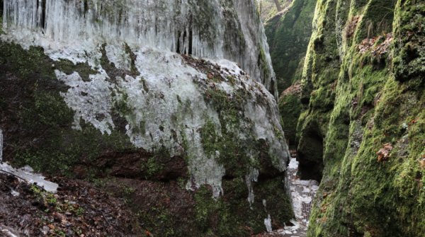 Felsiger Grund, wie hier in der Drachenschlucht bei Eisenach 