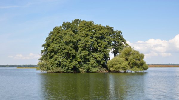 Der Große Plöner See – das größte Naturbad Schleswig-Holsteins