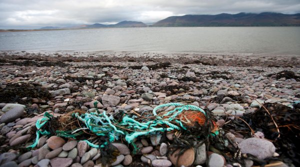 Upcycling Ideen der Sportindustrie – vom Ozeanmüll zum Skateboard 