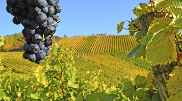 Per Bike entdeckt – verführerisches Rheinland-Pfalz 