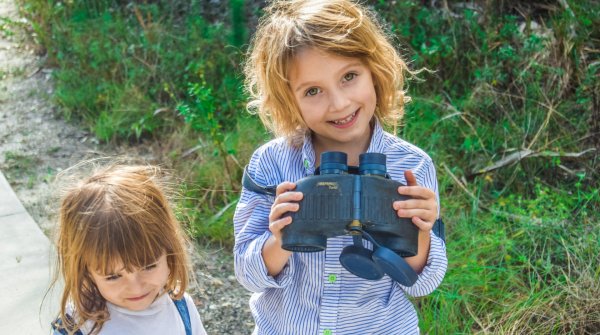 Immer etwas zu entdecken – Wandern in der Natur in Rheinland-Pfalz