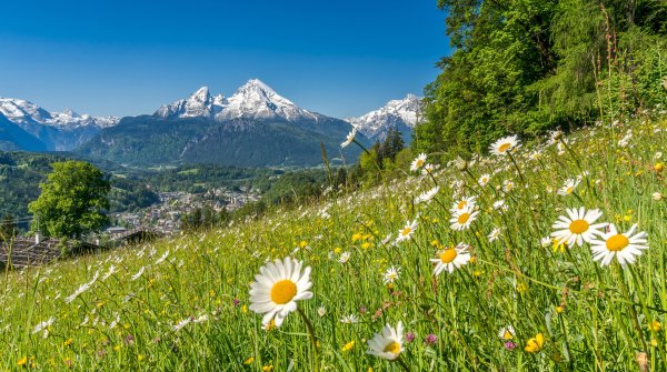 Trekking in den bayerischen Alpen, den Watzmann im Blick