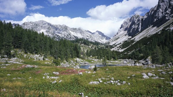 Trekking-Paradies Slowenien – bewirtete Hütten und Almen in alpiner Idylle 