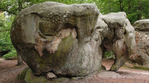 Im Wald von Fontainebleau laden skurrile Sandsteinformationen zum Bouldern ein.