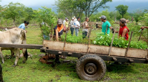 In the future, Odlo sportswear will also finance tree seedlings for new forests in Nicaragua