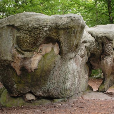 Im Wald von Fontainebleau laden skurrile Sandsteinformationen zum Bouldern ein.