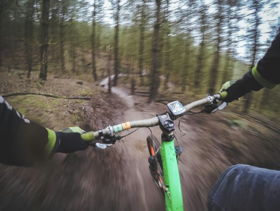 POV: Fahrradfahrer im Wald