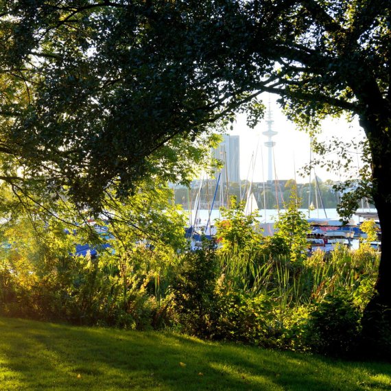 Wandern im Grünen – am Alstersee in Hamburg