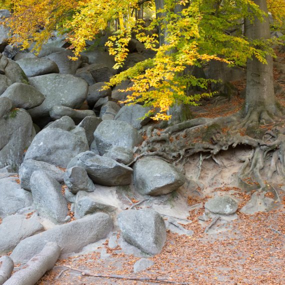 Wandern und Klettern – im Felsenmeer des Odenwalds in Hessen