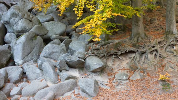 Wandern und Klettern – im Felsenmeer des Odenwalds in Hessen