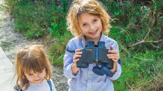 Immer etwas zu entdecken – Wandern in der Natur in Rheinland-Pfalz