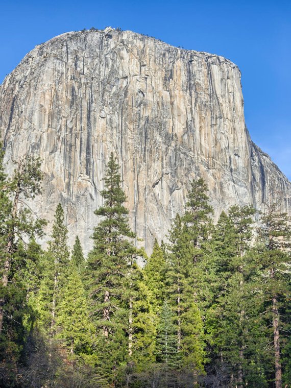 The south-west face of El Capitan is famous among climbers: Alex Honnold conquered the sheer face in less than four hours – and without safety equipment.