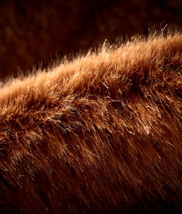 ISPO Textrends Best Product Accelerated Eco DuPont Sorona®