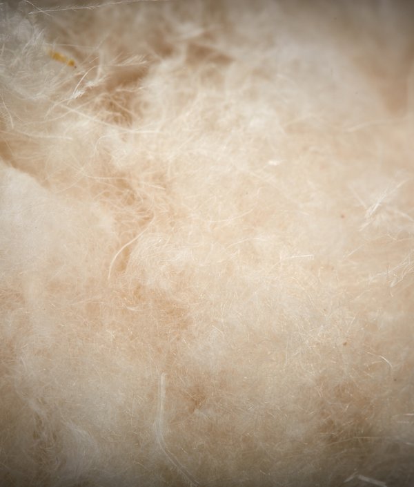 ISPO Textrends Best Product Fibers & Insulations Minardi Piume