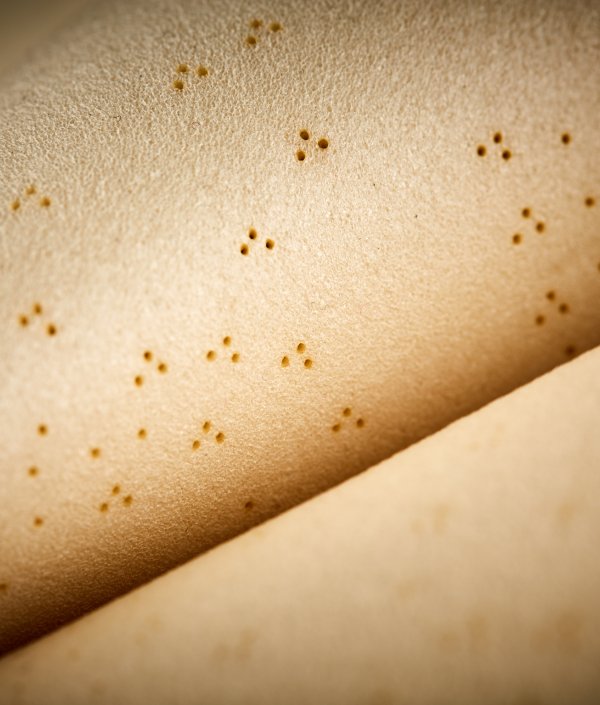 ISPOTextrends_20022_CategoryTeaserInsulation_S.Kistler Aerogel Composite Material_MesseMuenchen