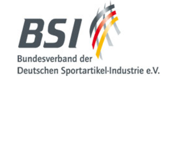 BSI Logo