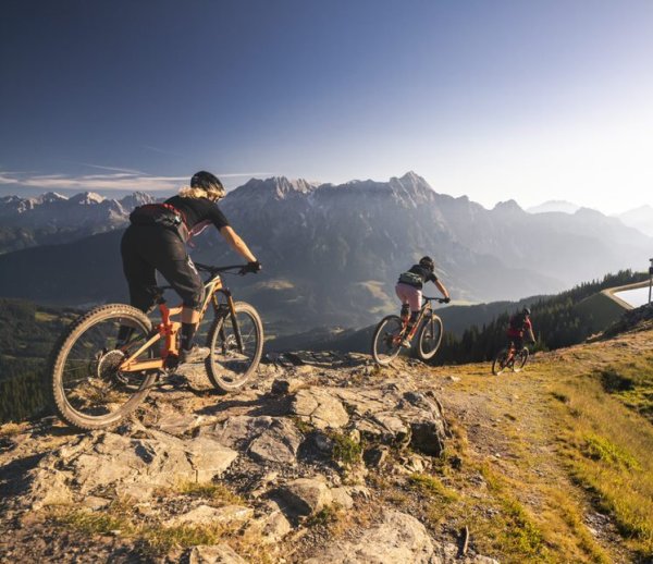 Program Ispo Re Start Days